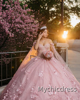 Floor Length Pink Princess Quinceanera Dress Ball Gowns